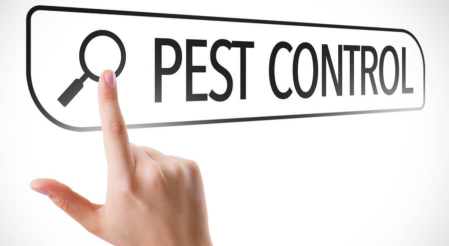 Pest Control Perth