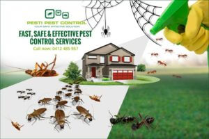 How to Select the Best Pest Exterminator