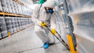 Commercial Pest Control: Getting Rid of Termites Early and for Good