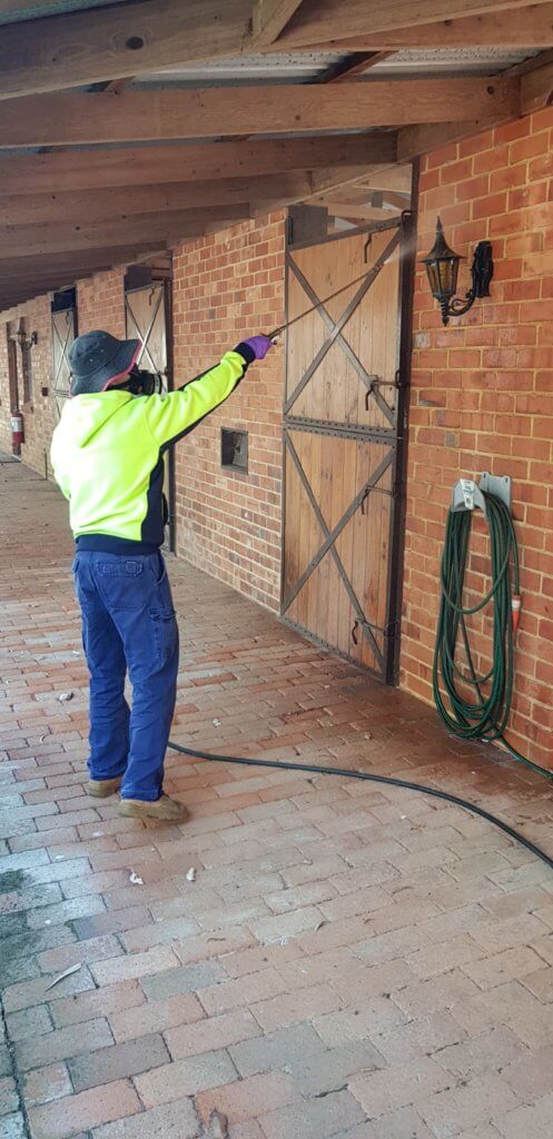 timber pest inspection, pest control, flick pest control, house inspection, new home inspections, termite treatment cost, pictures of termites, building inspection cost, termite inspection cost, pest inspection cost, termite solution, pest inspection perth, building inspection report cost, pre purchase property inspection, house inspection cost, termite control cost, termite inspection report, building inspection when buying a house, pre purchase termite inspection perth, pre purchase inspection report, timber pest inspection perth, home inspection services, home pest inspection