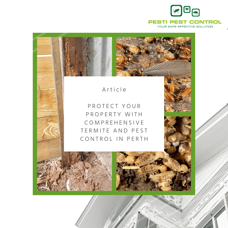 pest control perth, house inspection, termite control, signs of termites, termite treatment perth, diy termite treatment, perth pest control prices, termite reticulation system, termite swarmers, what do termites eat, termidor price, black termites, chemical termite barrier, after termite treatment, termite droppings, termit, termite protection cost, evidence of termites, nemesis termite bait, termite species Australia