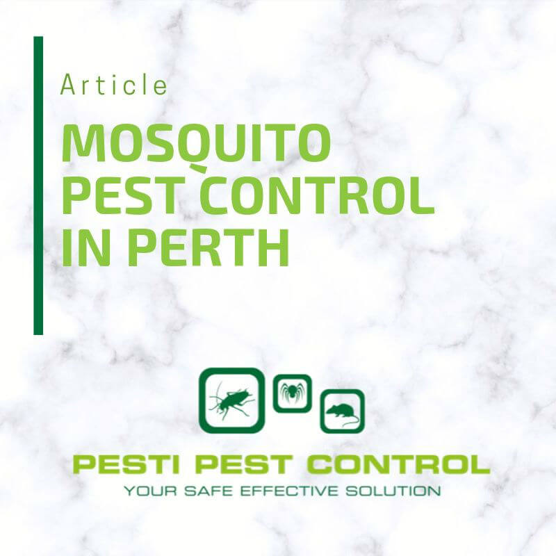 Mosquitoes are among the most harmful pests there are as they pose health risks to both humans and animals. Because of this, humans have always sought to exterminate them. Wherever you are in Perth or beyond, the most effective way of getting rid of them is by using mosquito pest control experts in your Perth neighbourhood.