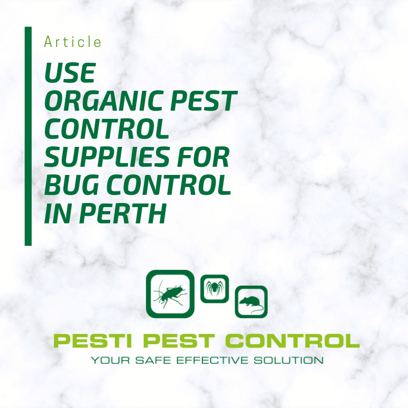flick pest control, hitman pest control, pest control services, ant pest control, pest control prices, bed bug removal, eco pest control, guardian pest control, pest control supplies, bug control perth, mouse control, mouse exterminator, vermin control, wasp pest control perth, vegetable garden pest control, emergency pest control, biological pest control