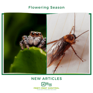 How to Protect Home from Spiders, Cockroaches and Ants