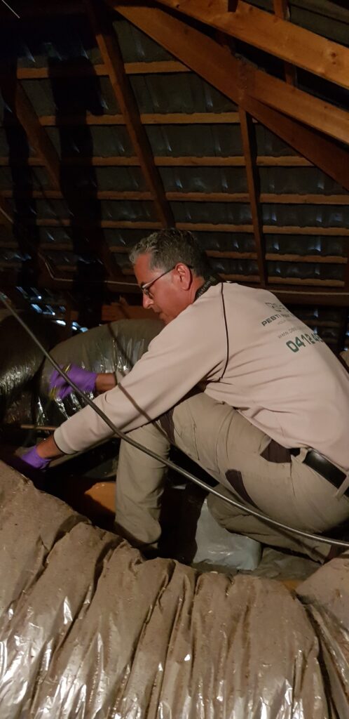 Rodent control pesti pest control perth