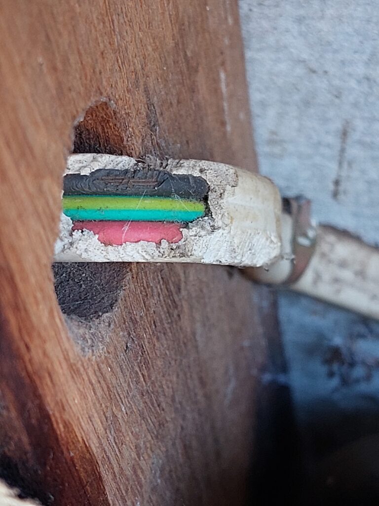 Rodent damage pesti pest control perth