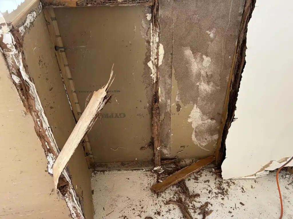 Termite Damage 3
