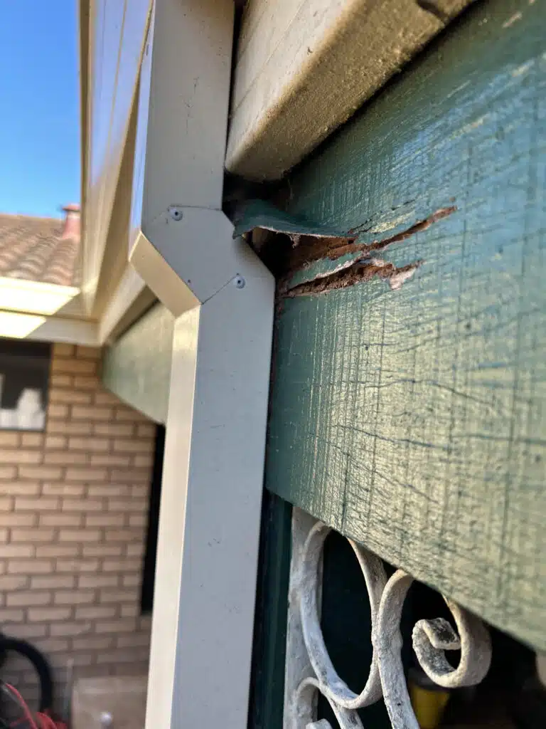Termite Damage 4